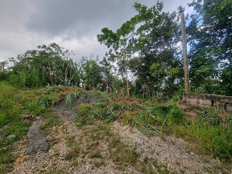 Third image of 38 Coopers Hill in Red Hills, St. Andrew, Jamaica - property is For Sale