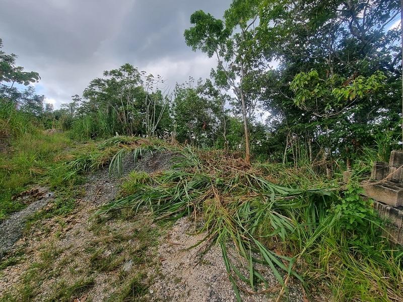 Fourth image of 38 Coopers Hill in Red Hills, St. Andrew, Jamaica - property is For Sale