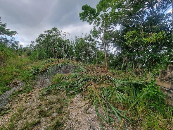 Fourth image of 38 Coopers Hill in Red Hills, St. Andrew, Jamaica - property is For Sale