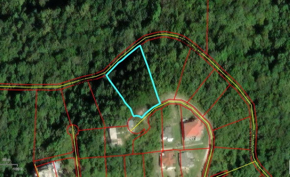Fifth image of 38 Coopers Hill in Red Hills, St. Andrew, Jamaica - property is For Sale