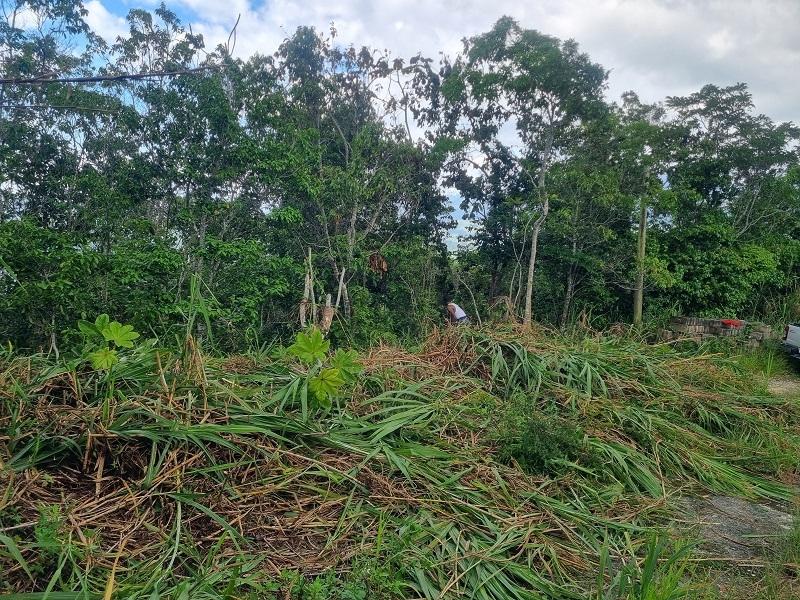 First image of 38 Coopers Hill in Red Hills, St. Andrew, Jamaica - property is For Sale