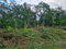 First image of 38 Coopers Hill in Red Hills, St. Andrew, Jamaica - property is For Sale