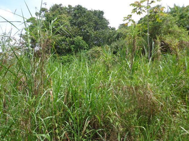 Fourth image of Lot 11 Abraham Road in Red Hills, St. Andrew, Jamaica - property is For Sale