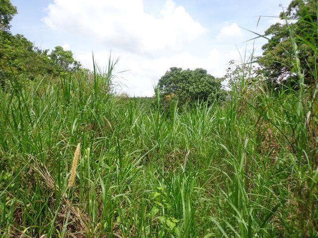 Fifth image of Lot 11 Abraham Road in Red Hills, St. Andrew, Jamaica - property is For Sale