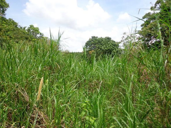 Fifth image of Lot 11 Abraham Road in Red Hills, St. Andrew, Jamaica - property is For Sale