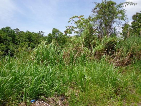 First image of Lot 11 Abraham Road in Red Hills, St. Andrew, Jamaica - property is For Sale