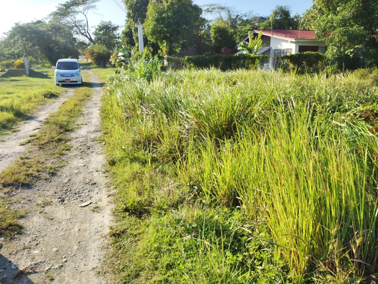 Second image of Haughton Court in Lucea, Hanover, Jamaica - property is For Sale