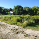 First image of Haughton Court in Lucea, Hanover, Jamaica - property is For Sale