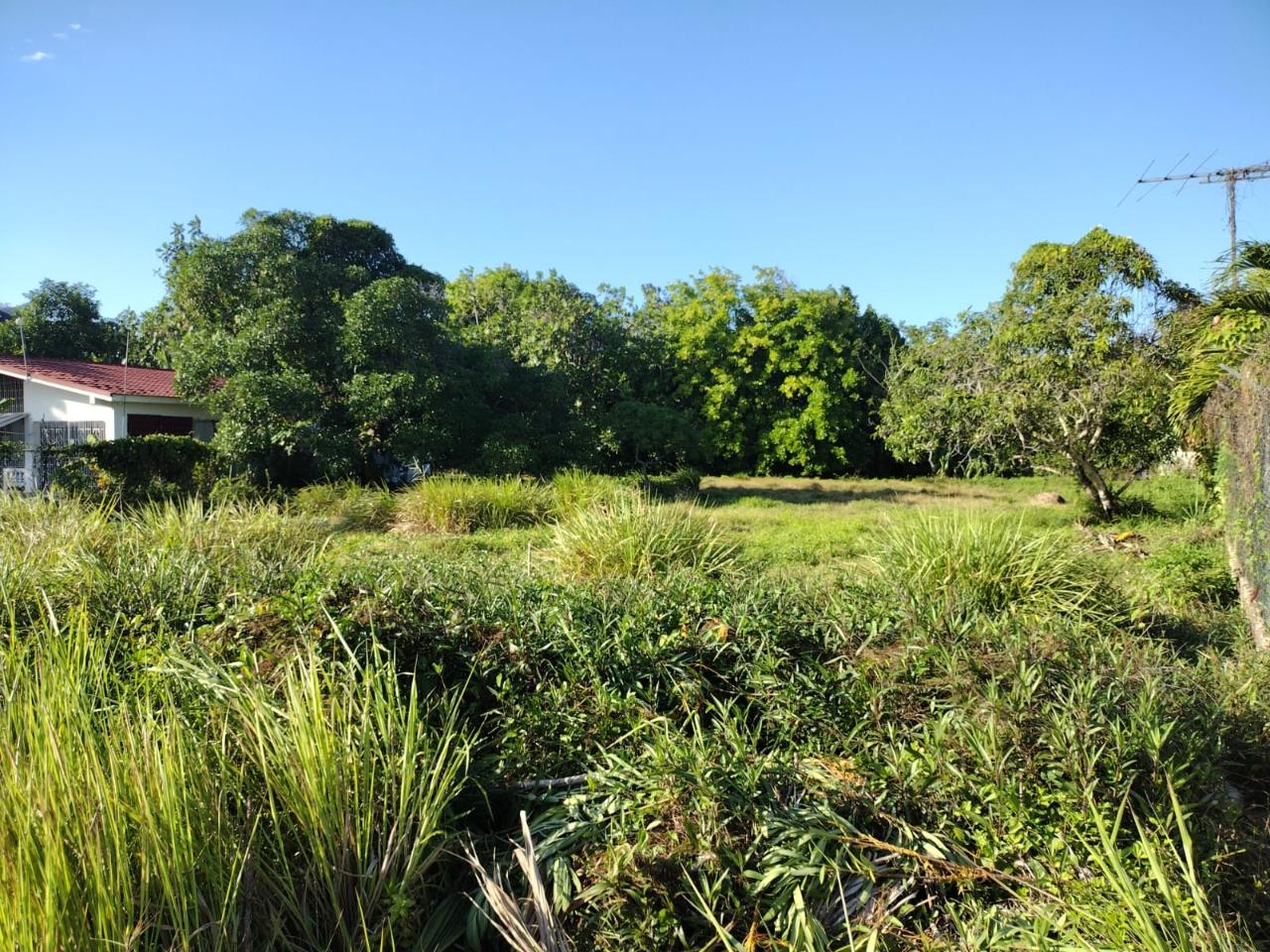 Third image of Haughton Court in Lucea, Hanover, Jamaica - property is For Sale