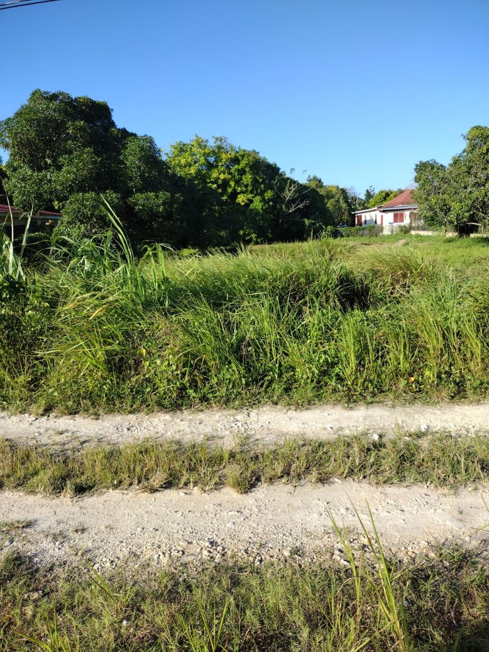 Fifth image of Haughton Court in Lucea, Hanover, Jamaica - property is For Sale
