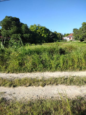 Fifth image of Haughton Court in Lucea, Hanover, Jamaica - property is For Sale