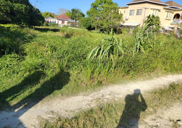 Sixth image of Haughton Court in Lucea, Hanover, Jamaica - property is For Sale