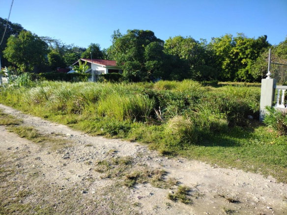 First image of Haughton Court in Lucea, Hanover, Jamaica - property is For Sale