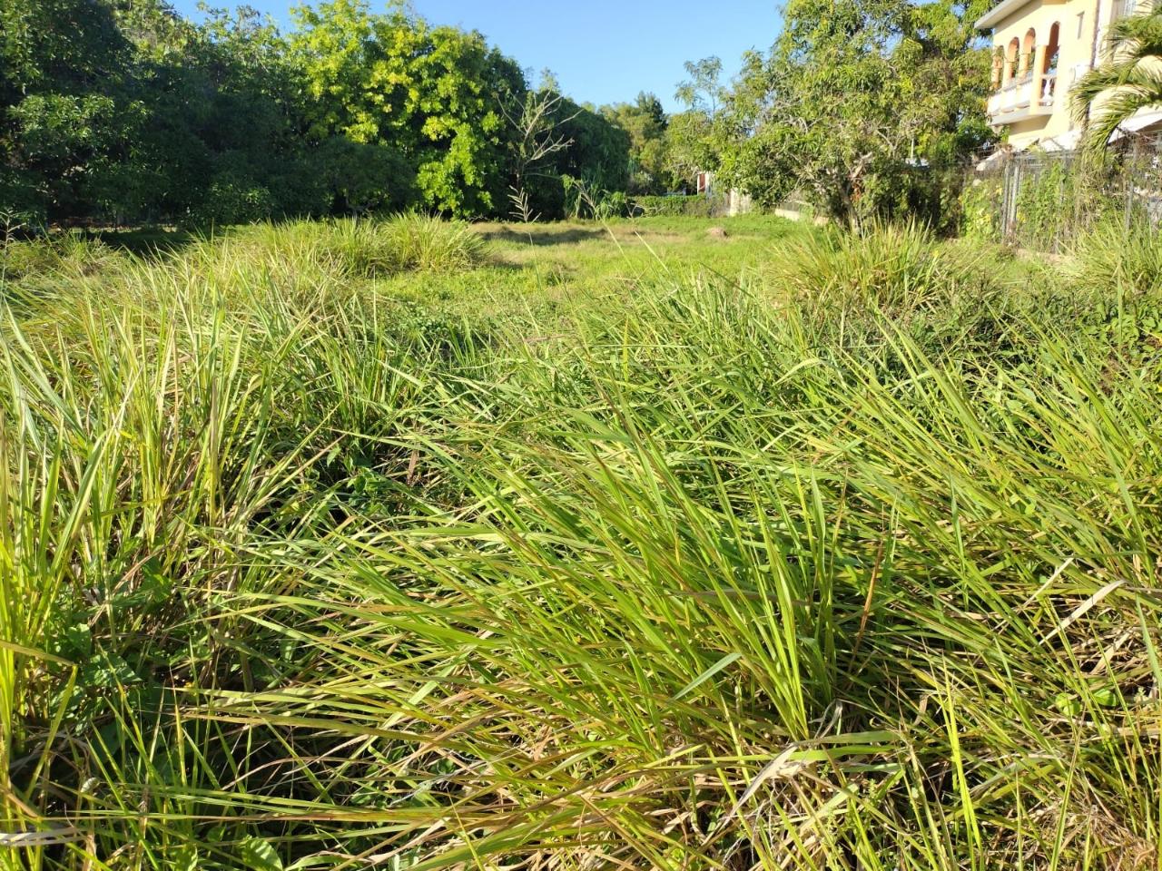 Seventh image of Haughton Court in Lucea, Hanover, Jamaica - property is For Sale