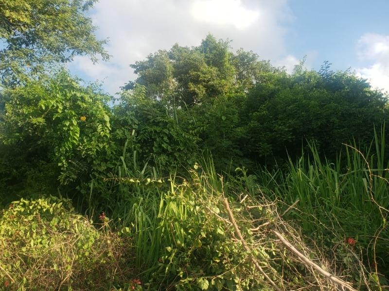 Second image of Cousin Cove in Cousins Cove, Hanover, Jamaica - property is For Sale