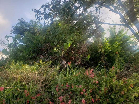 First image of Cousin Cove in Cousins Cove, Hanover, Jamaica - property is For Sale