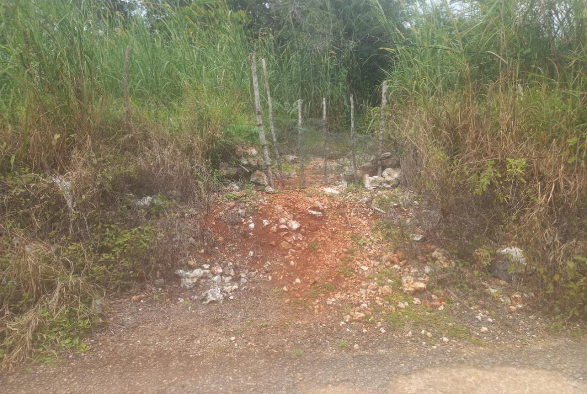 Second image of Dalkeith Manchester in Knockpatrick, Manchester, Jamaica - property is For Sale
