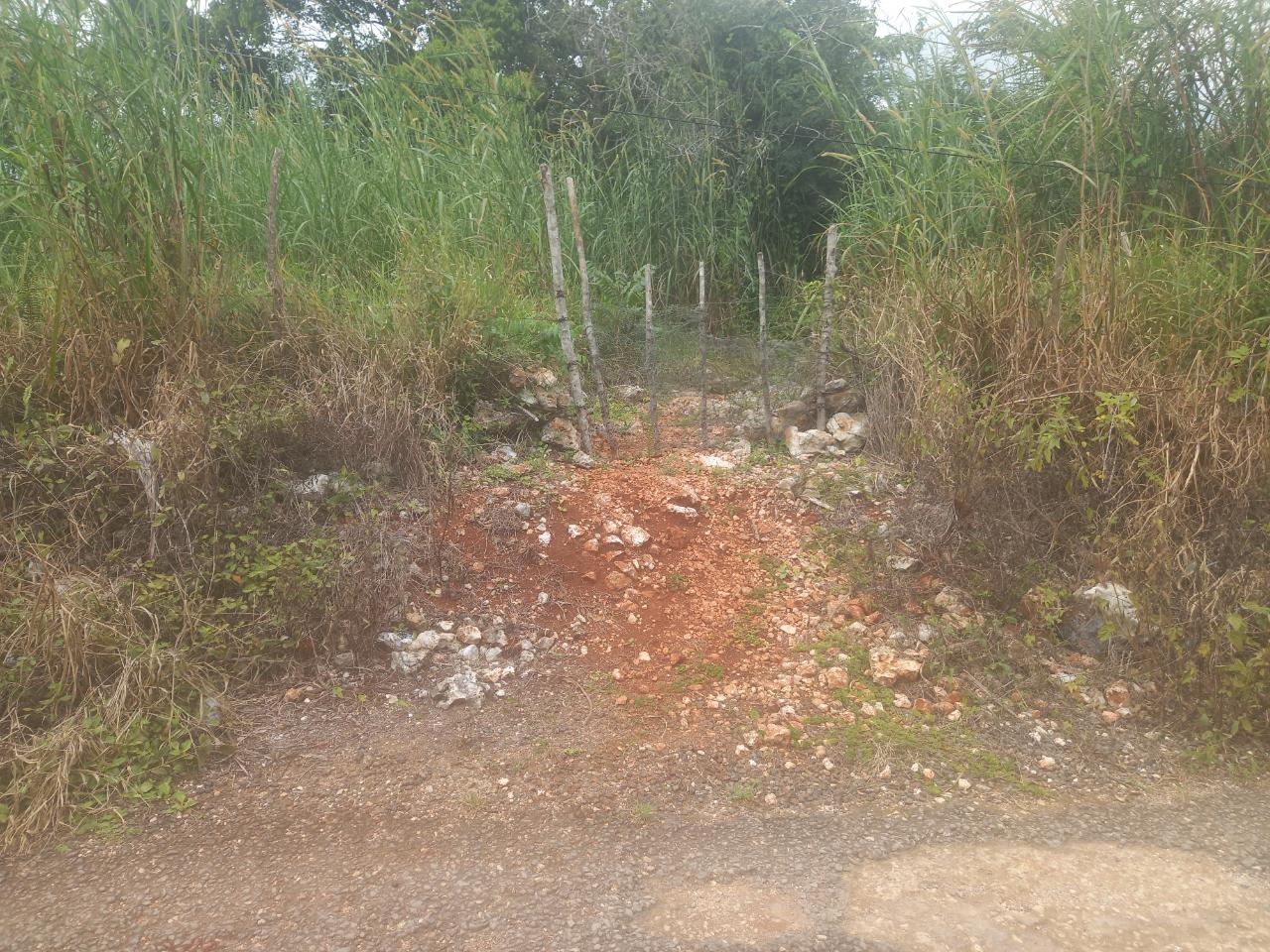 Residential-Lot-for-Sale-in-Daleys-Grove-Manchester-Build-Your-Dream-Home Second image of Dalkeith Manchester in Knockpatrick, Manchester, Jamaica - property is For Sale