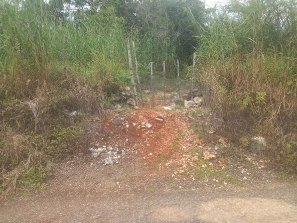 Second image of Dalkeith Manchester in Knockpatrick, Manchester, Jamaica - property is For Sale