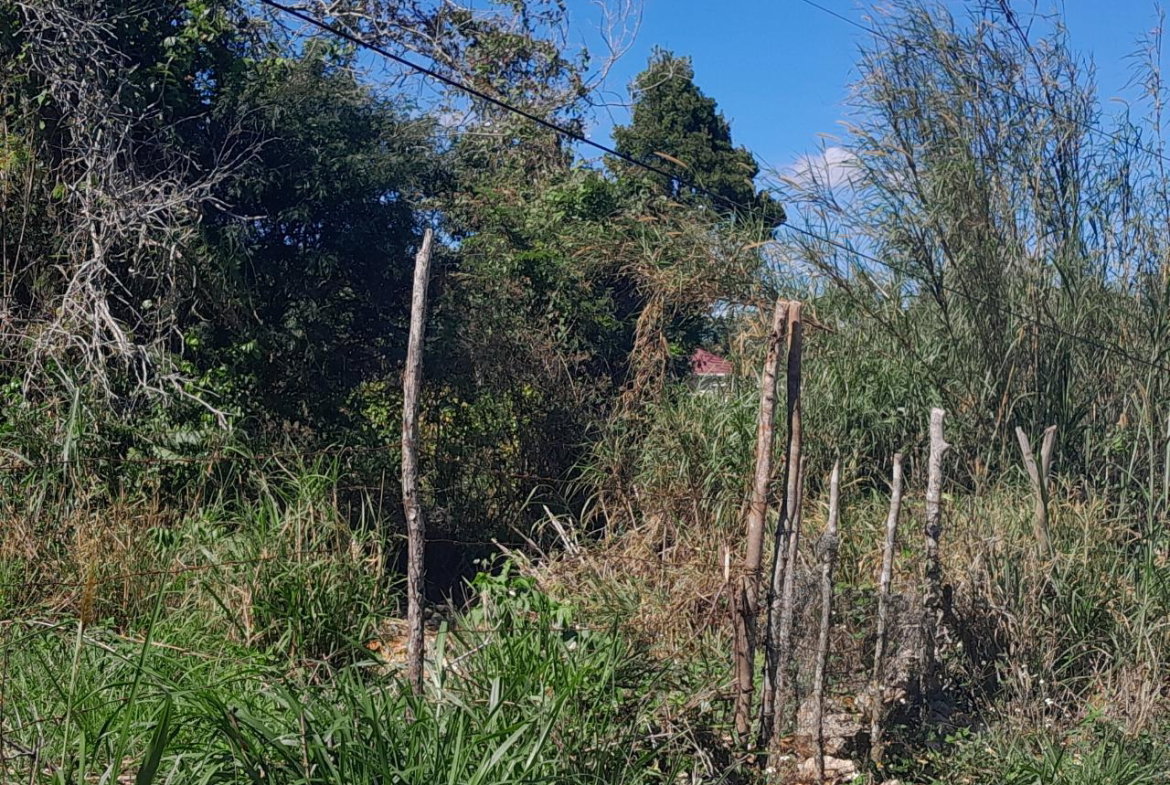 Third image of Dalkeith Manchester in Knockpatrick, Manchester, Jamaica - property is For Sale