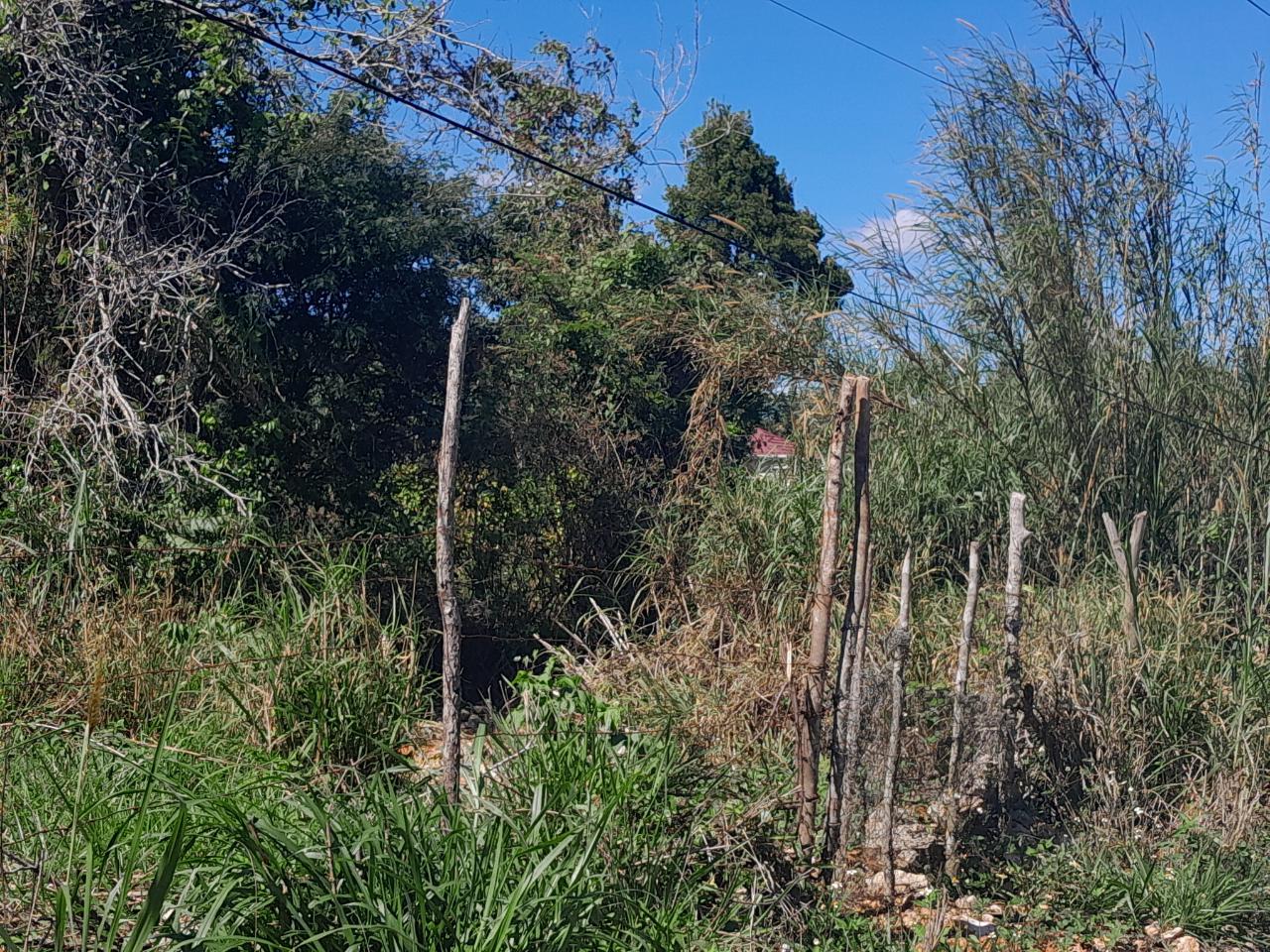 Residential-Lot-for-Sale-in-Daleys-Grove-Manchester-Build-Your-Dream-Home Third image of Dalkeith Manchester in Knockpatrick, Manchester, Jamaica - property is For Sale