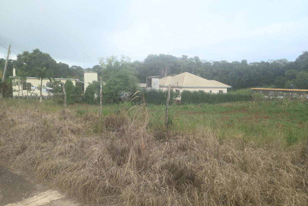 Fifth image of Dalkeith Manchester in Knockpatrick, Manchester, Jamaica - property is For Sale
