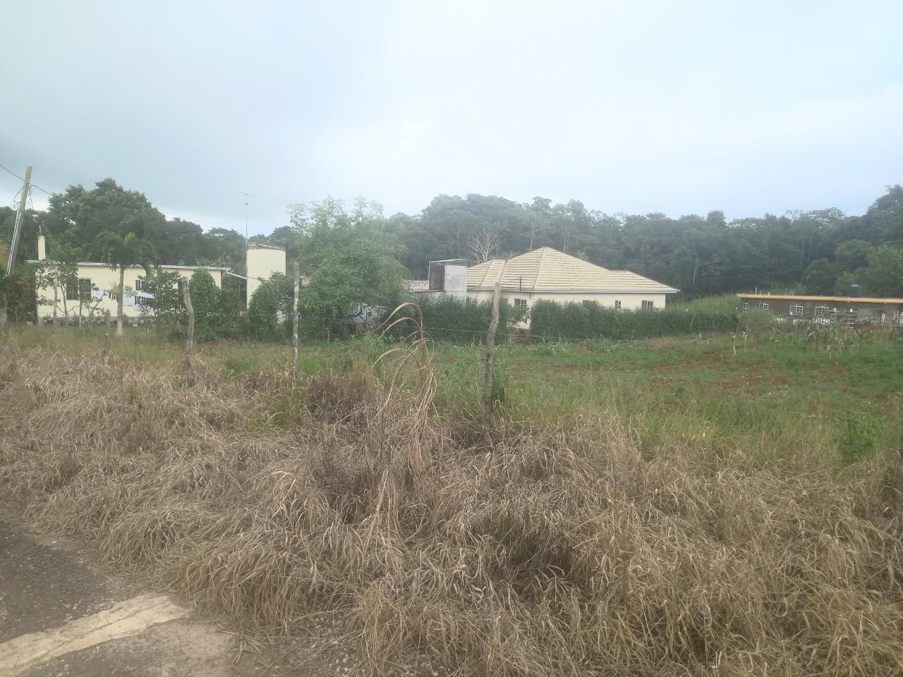 Residential-Lot-for-Sale-in-Daleys-Grove-Manchester-Build-Your-Dream-Home Fifth image of Dalkeith Manchester in Knockpatrick, Manchester, Jamaica - property is For Sale