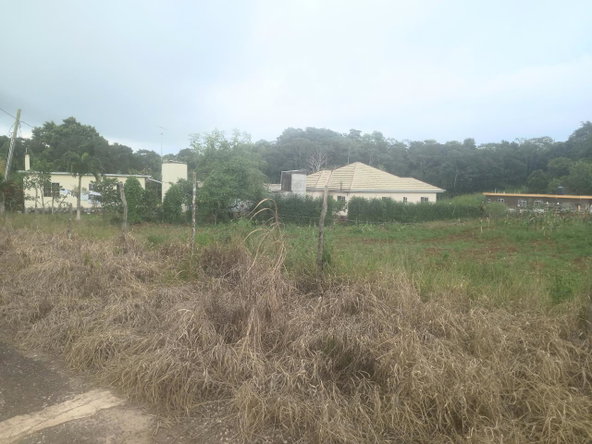 Fifth image of Dalkeith Manchester in Knockpatrick, Manchester, Jamaica - property is For Sale