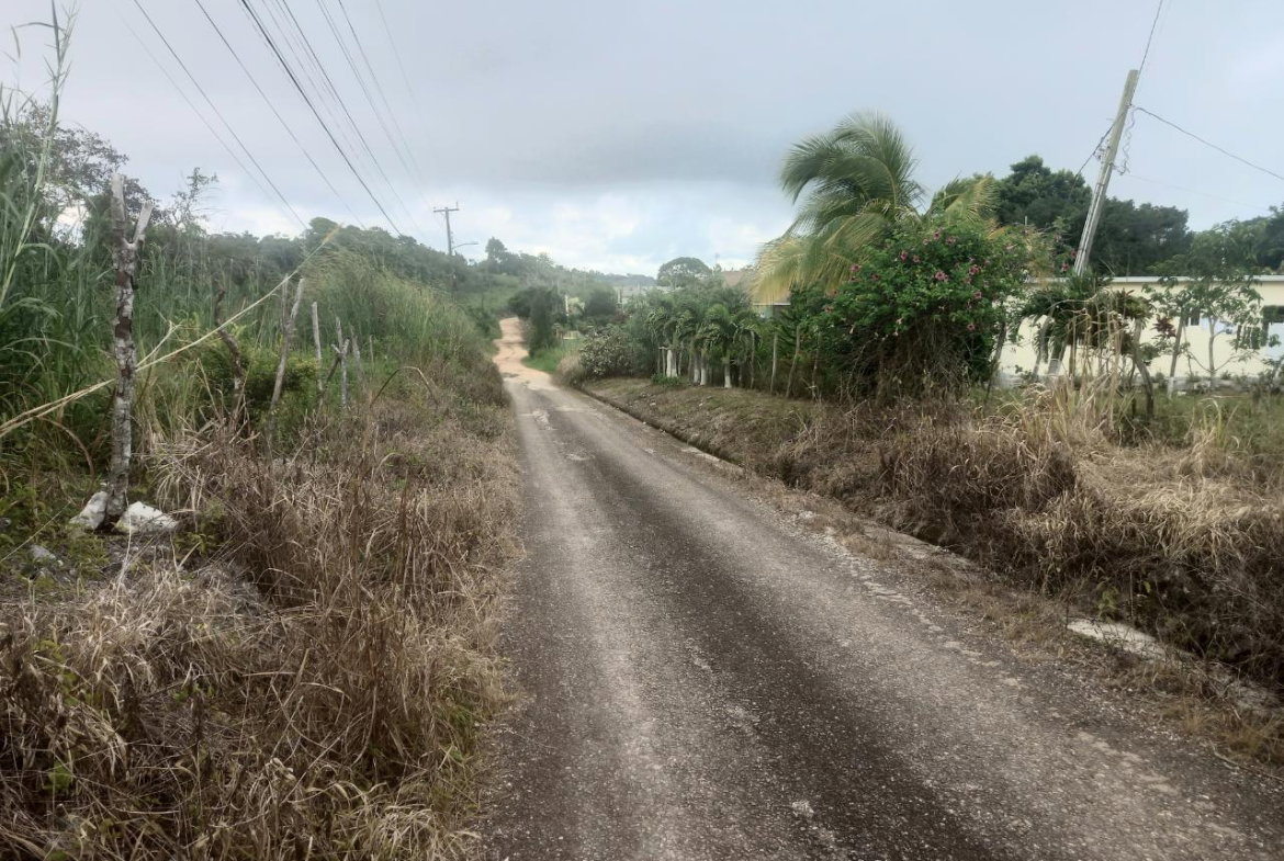 Sixth image of Dalkeith Manchester in Knockpatrick, Manchester, Jamaica - property is For Sale