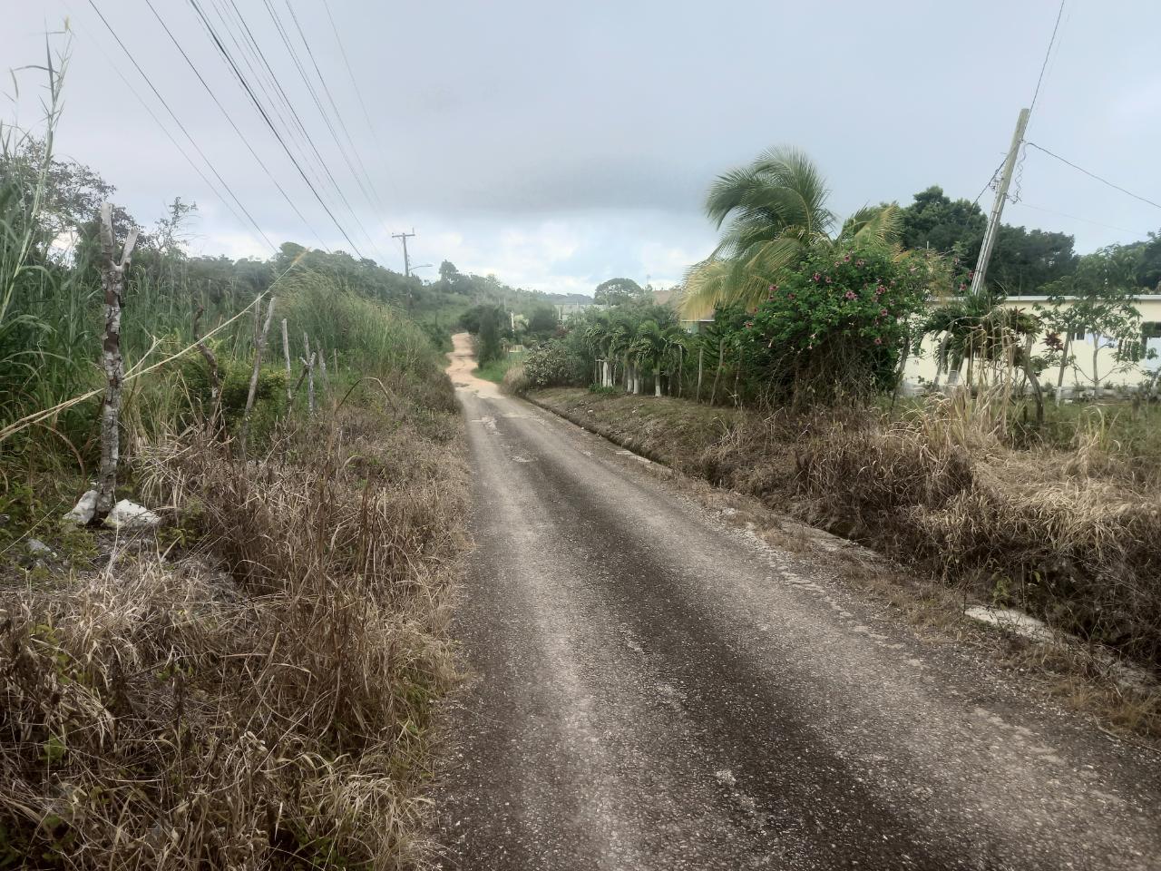 Residential-Lot-for-Sale-in-Daleys-Grove-Manchester-Build-Your-Dream-Home Sixth image of Dalkeith Manchester in Knockpatrick, Manchester, Jamaica - property is For Sale