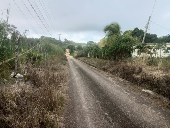 Sixth image of Dalkeith Manchester in Knockpatrick, Manchester, Jamaica - property is For Sale