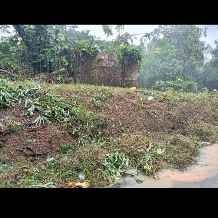 Thirteenth image of Dalmally Cacoon, Dias Hanover in Dias, Hanover, Jamaica - property is For Sale