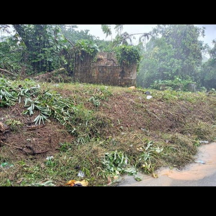 Thirteenth image of Dalmally Cacoon, Dias Hanover in Dias, Hanover, Jamaica - property is For Sale