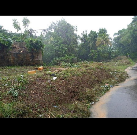 Fourteenth image of Dalmally Cacoon, Dias Hanover in Dias, Hanover, Jamaica - property is For Sale