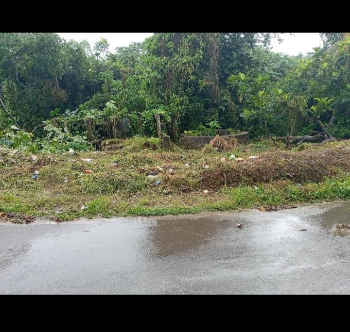 Fifteenth image of Dalmally Cacoon, Dias Hanover in Dias, Hanover, Jamaica - property is For Sale