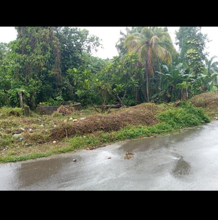 Sixteenth image of Dalmally Cacoon, Dias Hanover in Dias, Hanover, Jamaica - property is For Sale