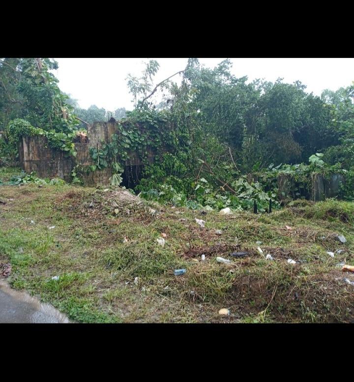 Seventeenth image of Dalmally Cacoon, Dias Hanover in Dias, Hanover, Jamaica - property is For Sale