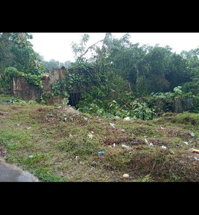 Seventeenth image of Dalmally Cacoon, Dias Hanover in Dias, Hanover, Jamaica - property is For Sale