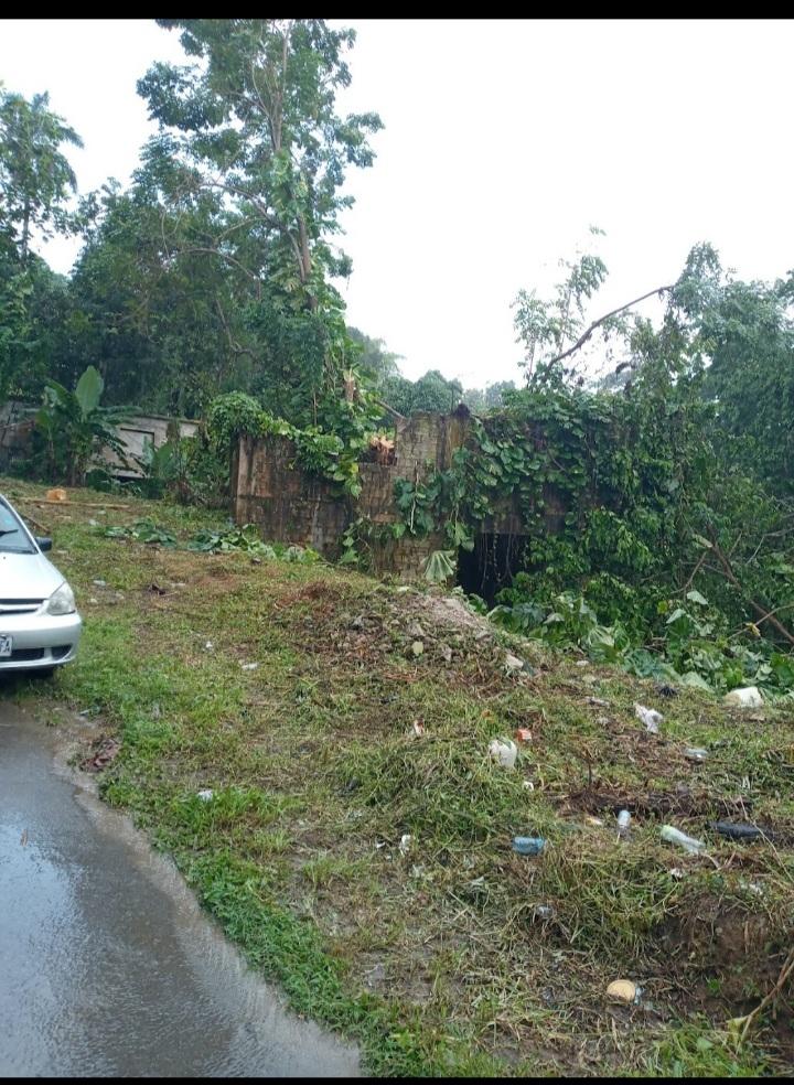 Eighteenth image of Dalmally Cacoon, Dias Hanover in Dias, Hanover, Jamaica - property is For Sale