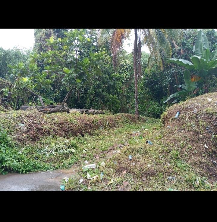 Nineteenth image of Dalmally Cacoon, Dias Hanover in Dias, Hanover, Jamaica - property is For Sale