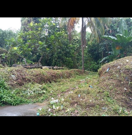Nineteenth image of Dalmally Cacoon, Dias Hanover in Dias, Hanover, Jamaica - property is For Sale