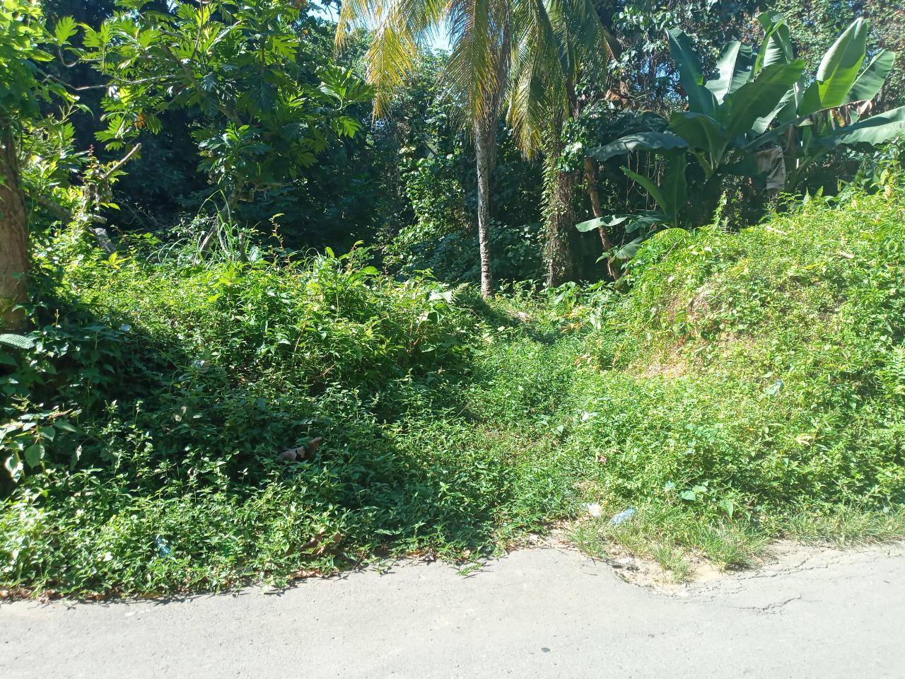 Third image of Dalmally Cacoon, Dias Hanover in Dias, Hanover, Jamaica - property is For Sale