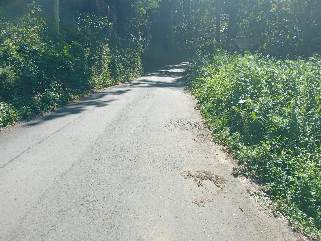 Fifth image of Dalmally Cacoon, Dias Hanover in Dias, Hanover, Jamaica - property is For Sale