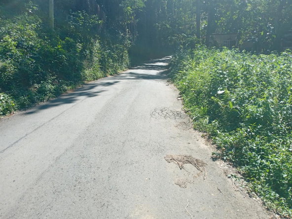 Fifth image of Dalmally Cacoon, Dias Hanover in Dias, Hanover, Jamaica - property is For Sale