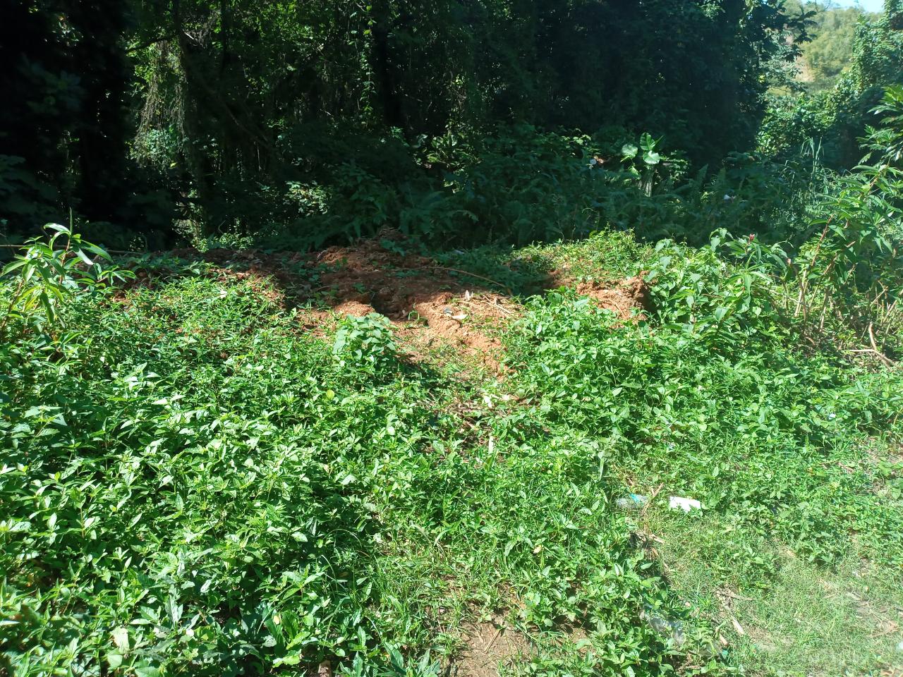 Seventh image of Dalmally Cacoon, Dias Hanover in Dias, Hanover, Jamaica - property is For Sale