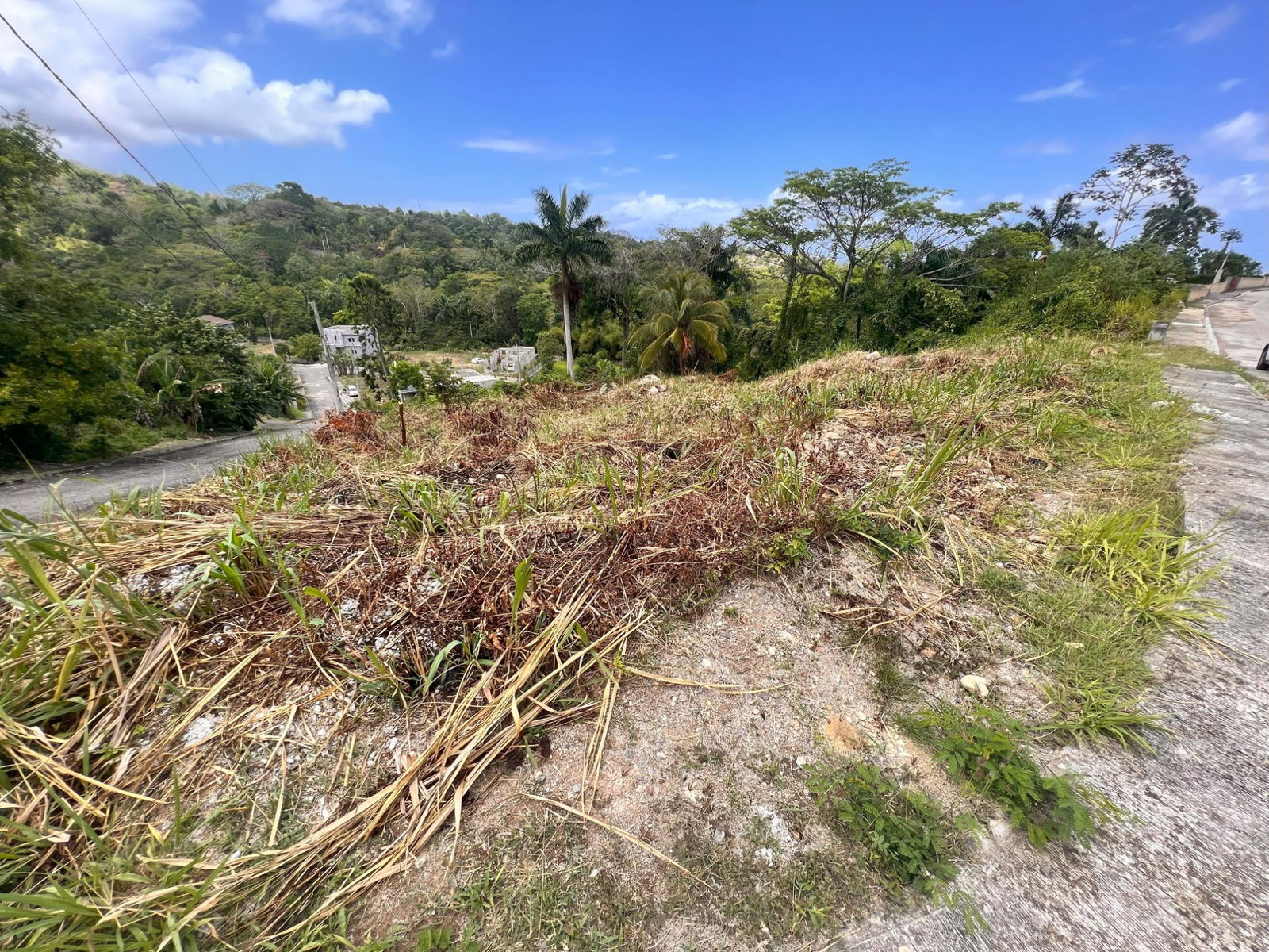 Fifth image of Lot-41 Wilson's Drive in Drax Hall Estate, St. Ann, Jamaica - property is For Sale