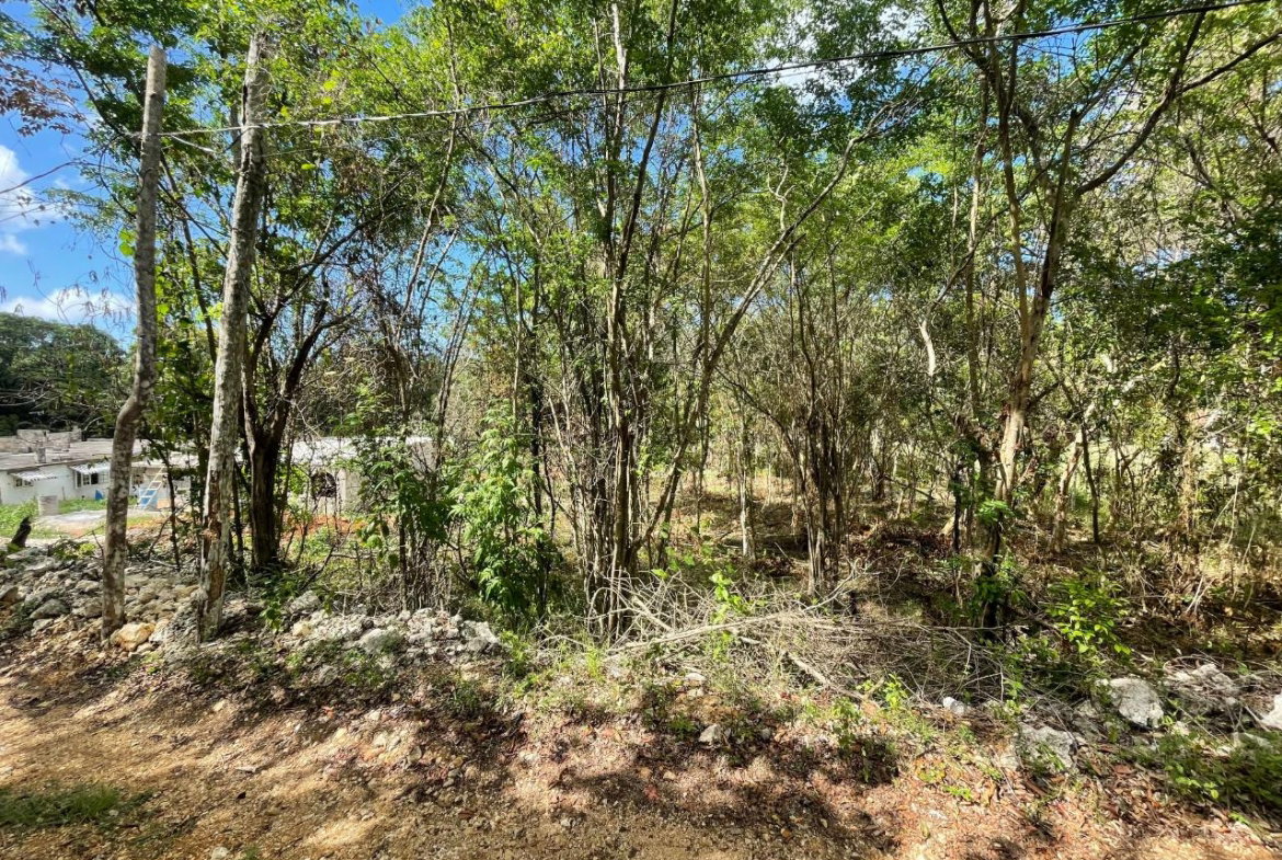 Second image of 19g Land Part of Dumbarton in Discovery Bay, St. Ann, Jamaica - property is For Sale