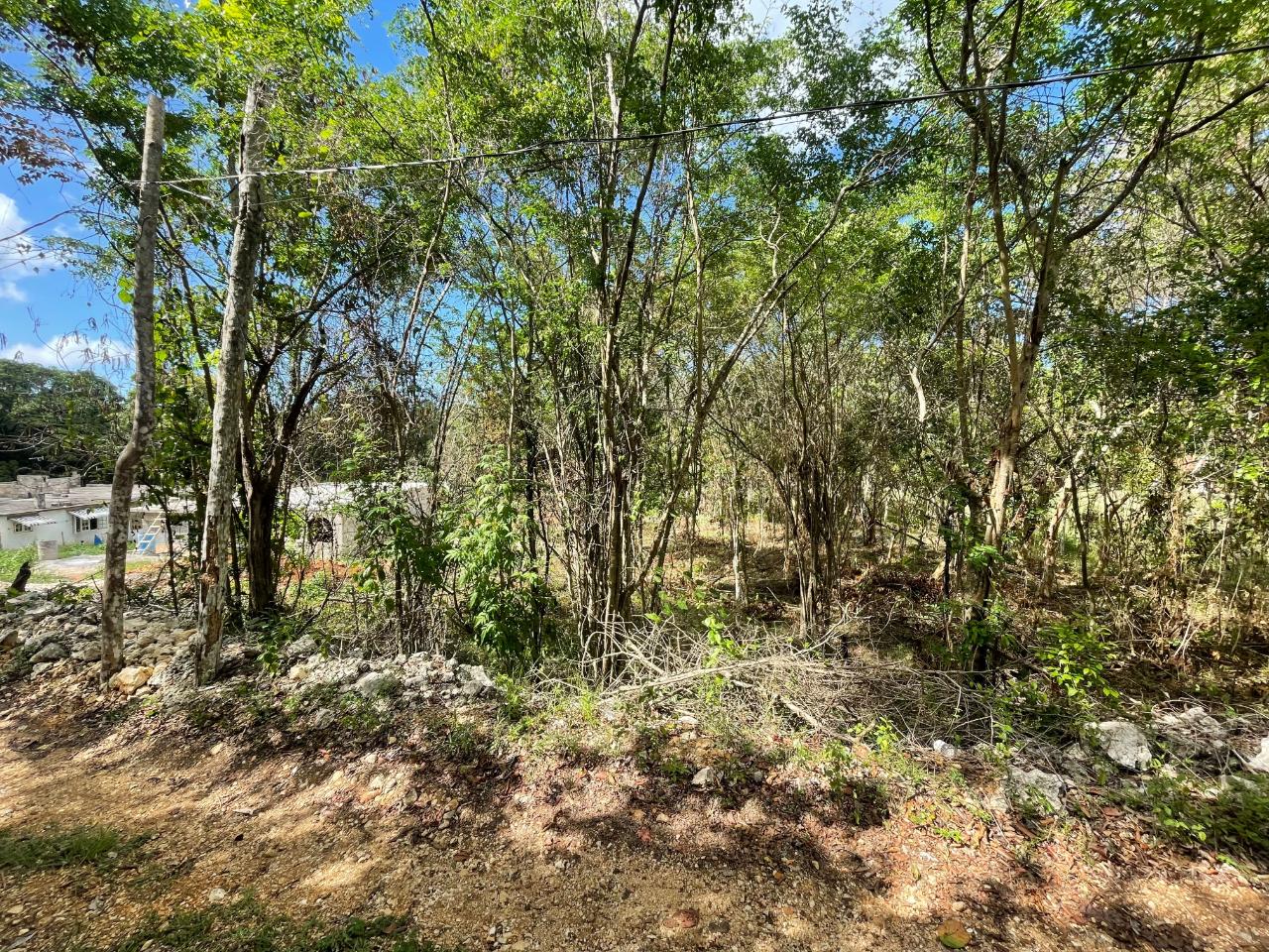 Second image of 19g Land Part of Dumbarton in Discovery Bay, St. Ann, Jamaica - property is For Sale