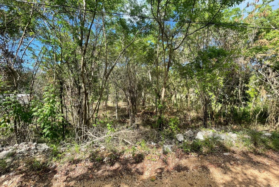 First image of 19g Land Part of Dumbarton in Discovery Bay, St. Ann, Jamaica - property is For Sale