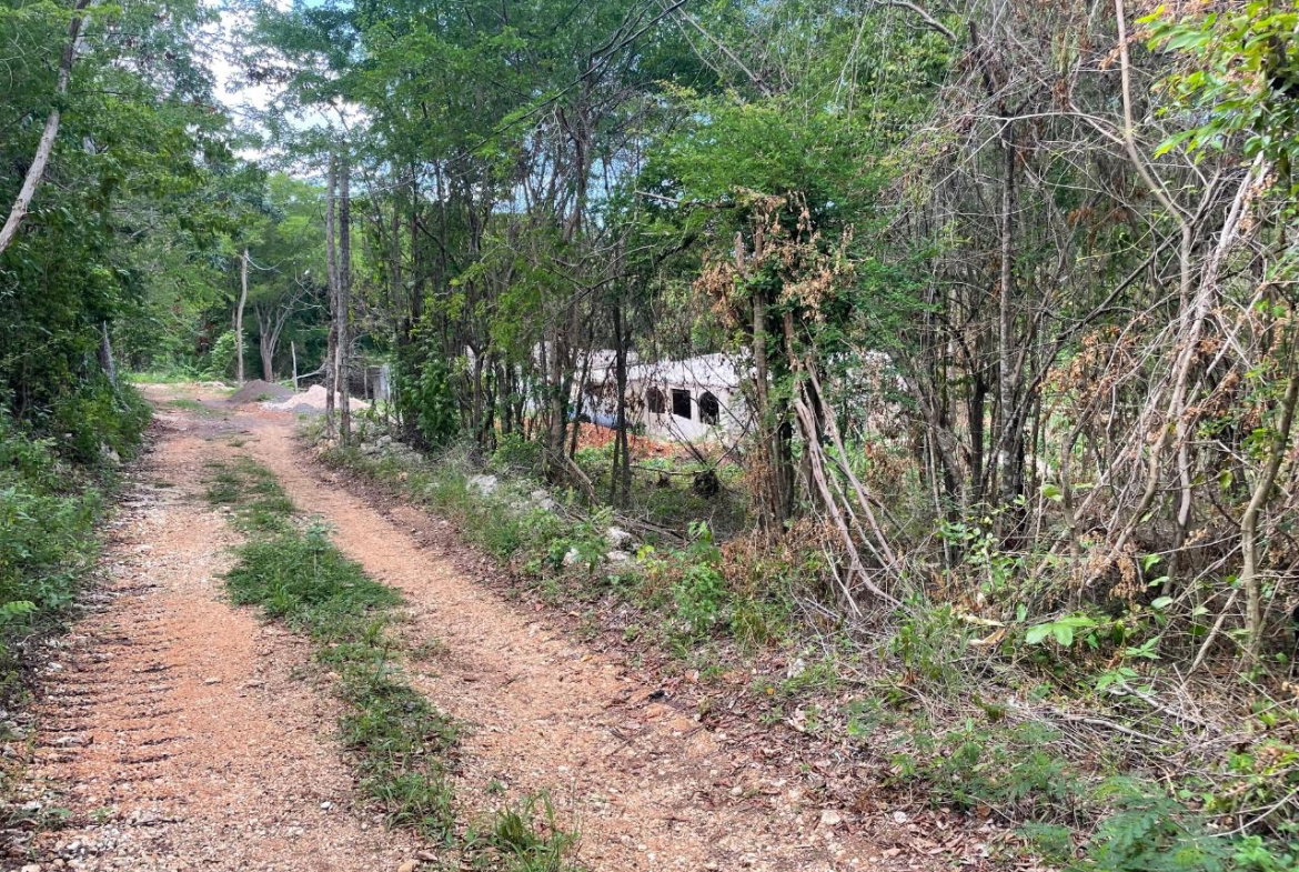 Third image of 19g Land Part of Dumbarton in Discovery Bay, St. Ann, Jamaica - property is For Sale